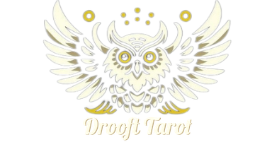 Logo Drooft